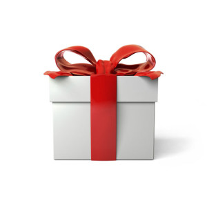 BASIS Boosters Holiday Gift Fund